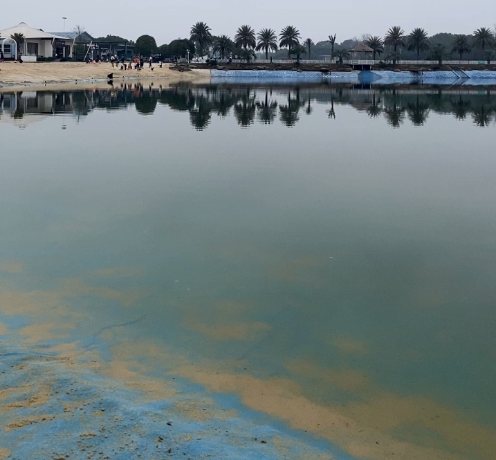 观景湖人工湖水泥毯